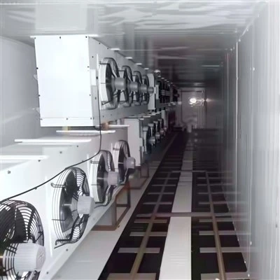 Tunnel-Schockfroster
